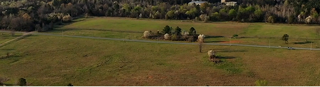 Aerial view of a green field with trees and a road nearby
