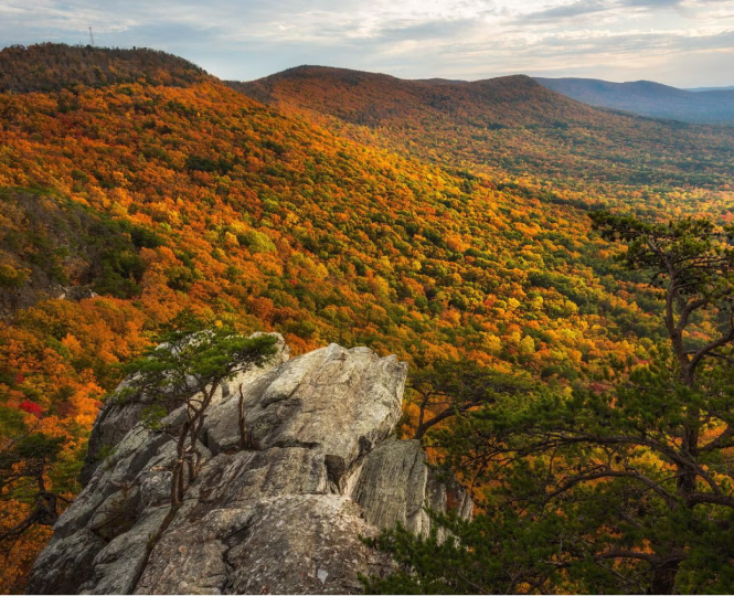 Scenic view of colorful autumn foliage on rolling hills