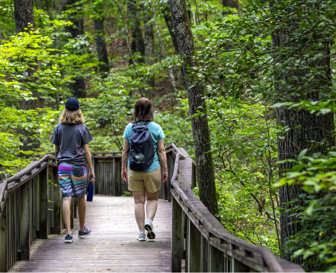 Two people walking on a wooden bridge through a lush green forest