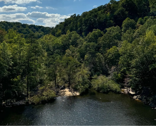A serene view of a river surrounded by dense green trees under a blue sky